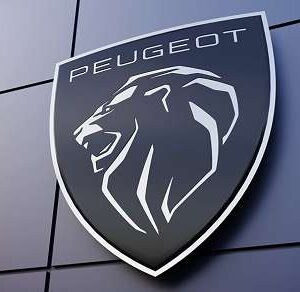 9673999980 resistore/centralina elettroventola originale Peugeot